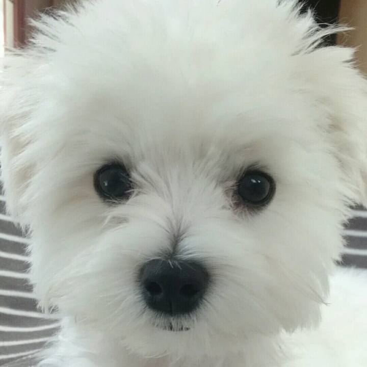 Fbadbf46 1c6d 4ec7 bf6c 85f458eb4d71 1511485730345