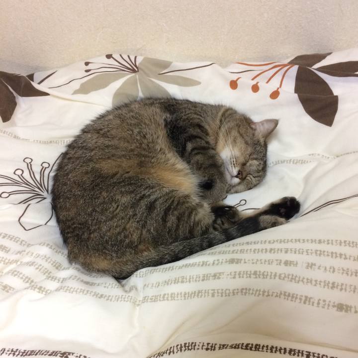 Fbae2870 e96a 4e70 97af b724a6f09679 1601376868470