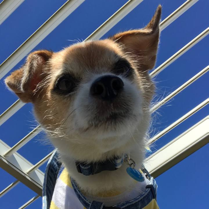 Fbae3767 3a3e 490f 8870 daf399848981 1634691088876