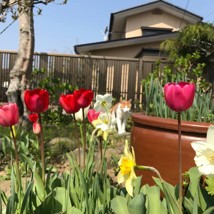 Fbae75a0 6f7d 4f5c 8a07 303ade72c9b8 1524213979100