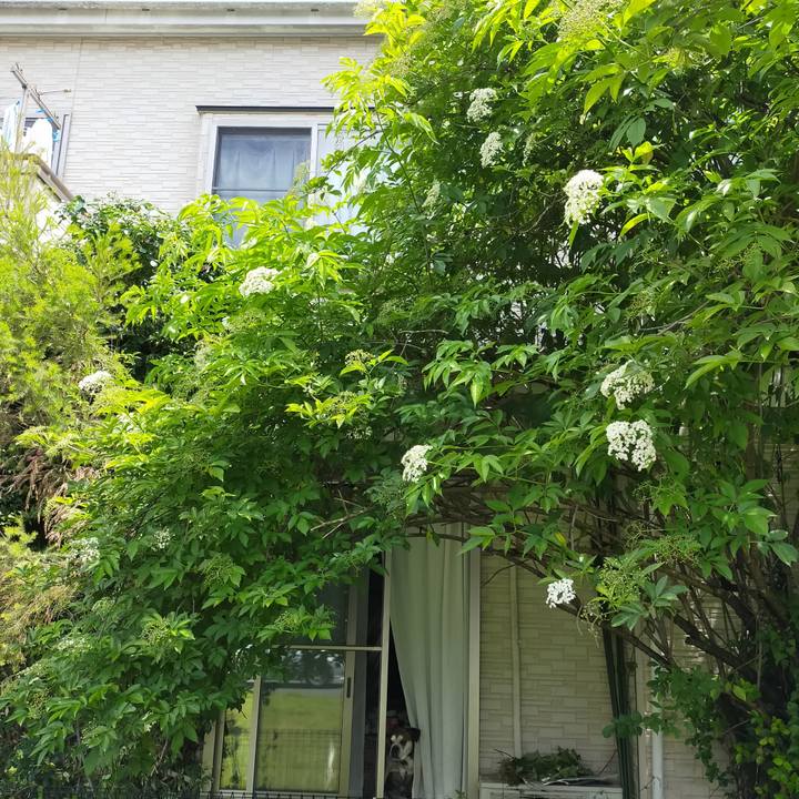 Fbae77ce 3320 40bc 905a eb4a9703146f 1655037706803