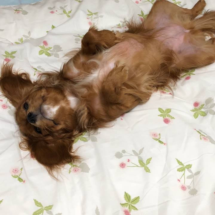 Fbae9a7c 9a19 4ea8 9d24 a4e85f93682b 1528635441971