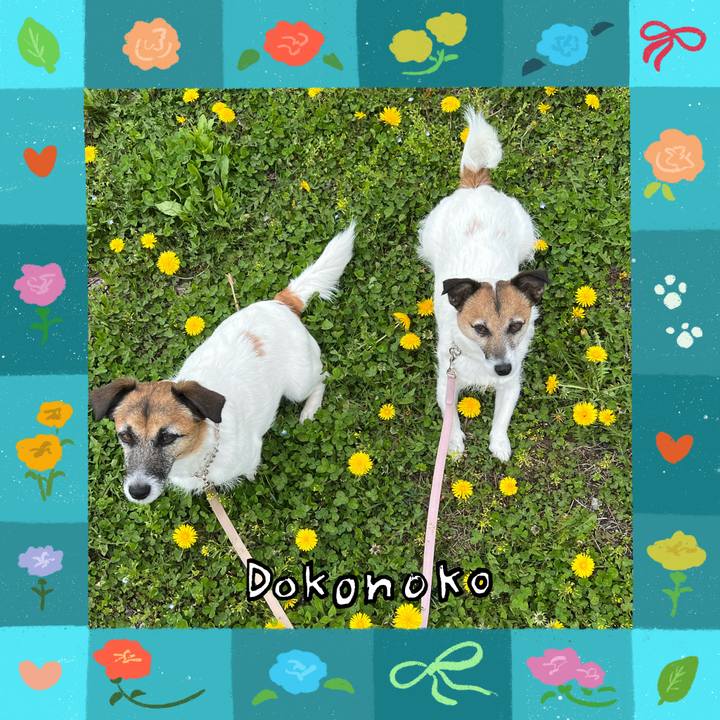 Fbaec238 4b45 4816 bd64 1d6e27fbbae8 1714888906856