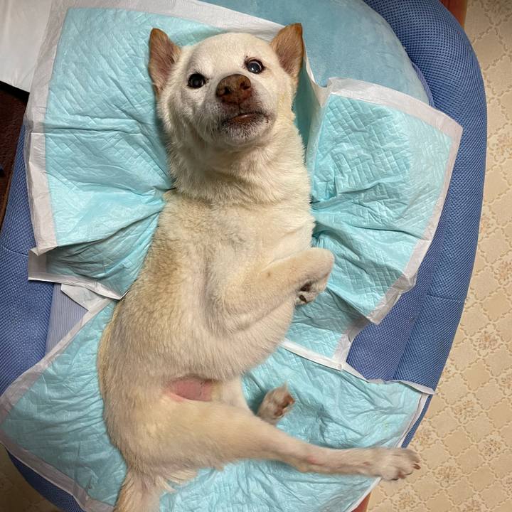 Fbaed0a9 c29b 4569 b66b 80ceecfd9e71 1678184810806