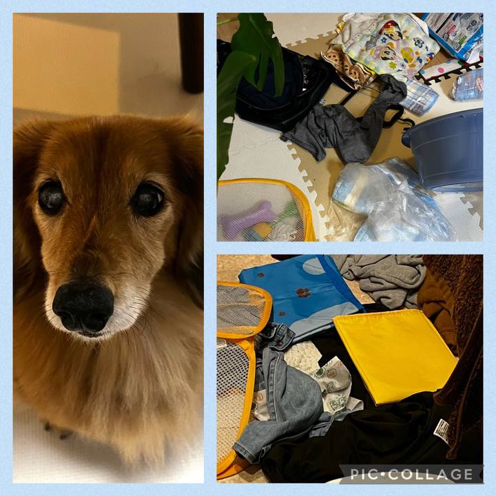 Fbaef4af b136 47b0 bbcc 076a5dc99baf 1670421031823