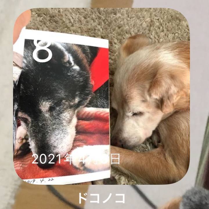 Fbaf03c2 5e5f 4d9f b266 ad42e8679b9c 1649371660316