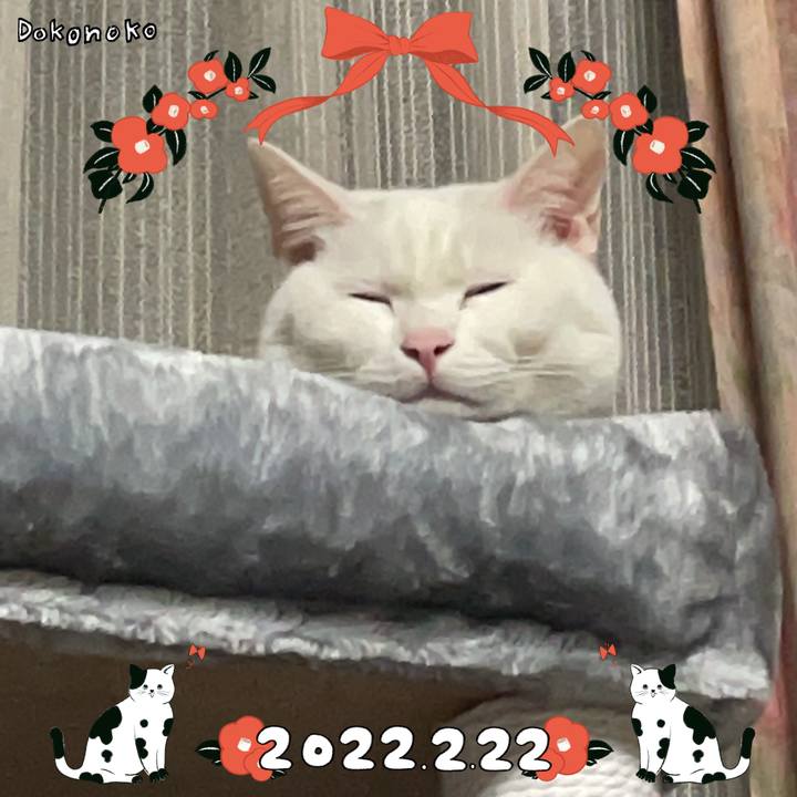 Fbaf24ca 87de 4ea3 a298 38e40d6e12bc 1645529594926
