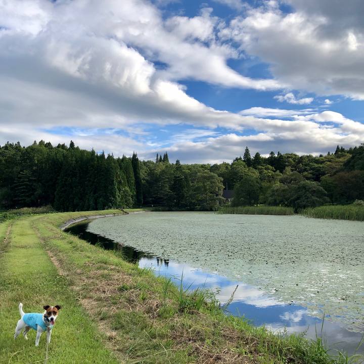 Fbaf3be0 5835 4a15 a4d3 33880219cdda 1599902870641