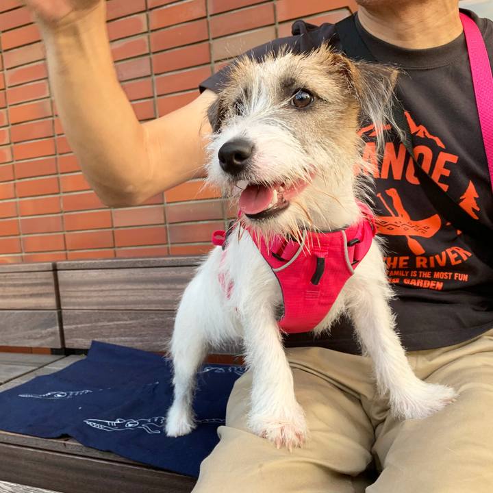 Fbaf439f 666b 4447 8271 311a06a8d73b 1568460321627