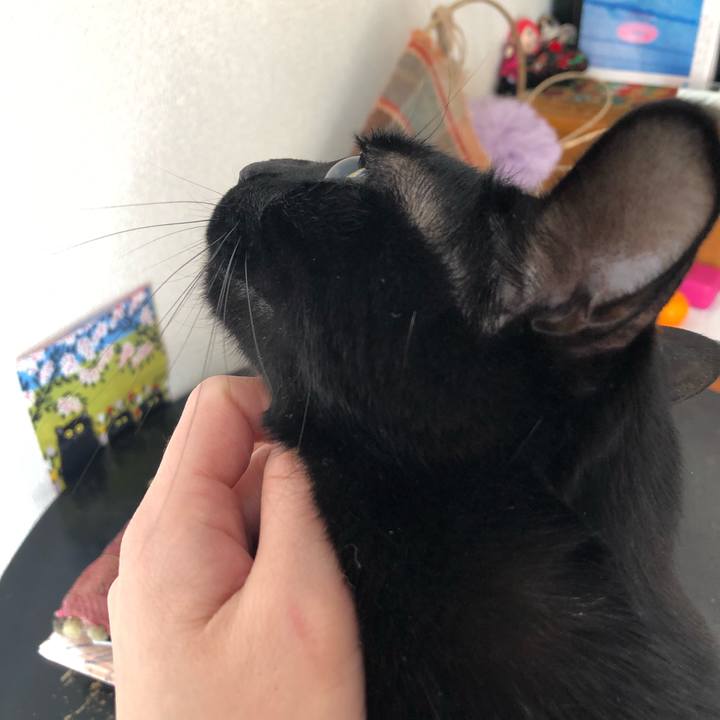 Fbaf91b1 36e1 48ec b223 079c74b560d5 1546228997990