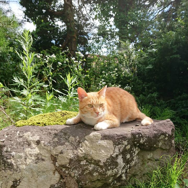 Fbb05a86 3682 489b b3c9 f8ce0b2b1071 1596261972118