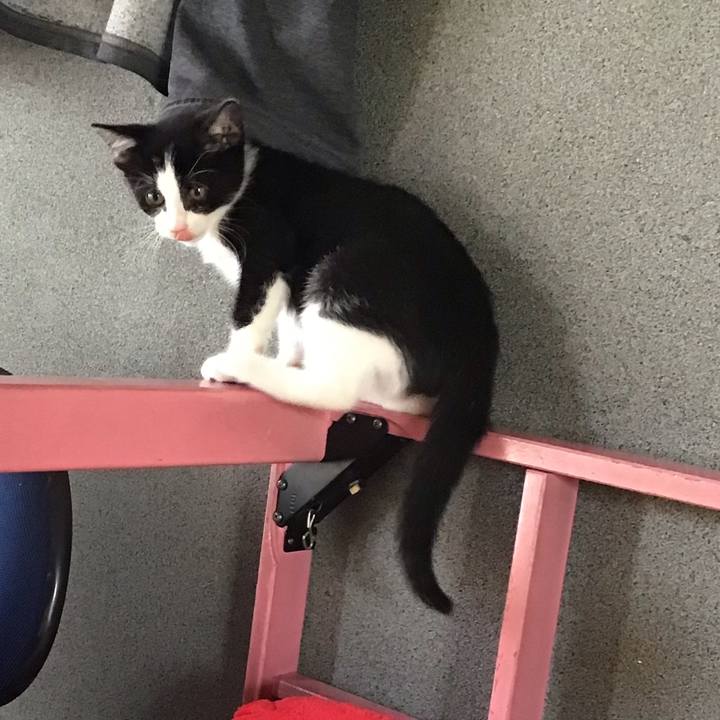 Fbb08fd8 fec1 4e36 a729 92133157257a 1624945923682