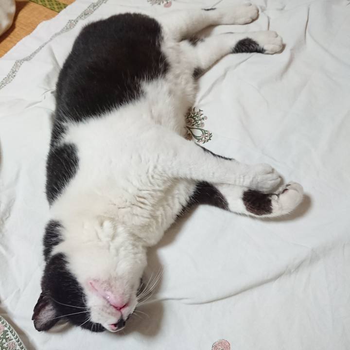 Fbb09f51 a920 44af ad4d 48e5c4bda21f 1659355181358