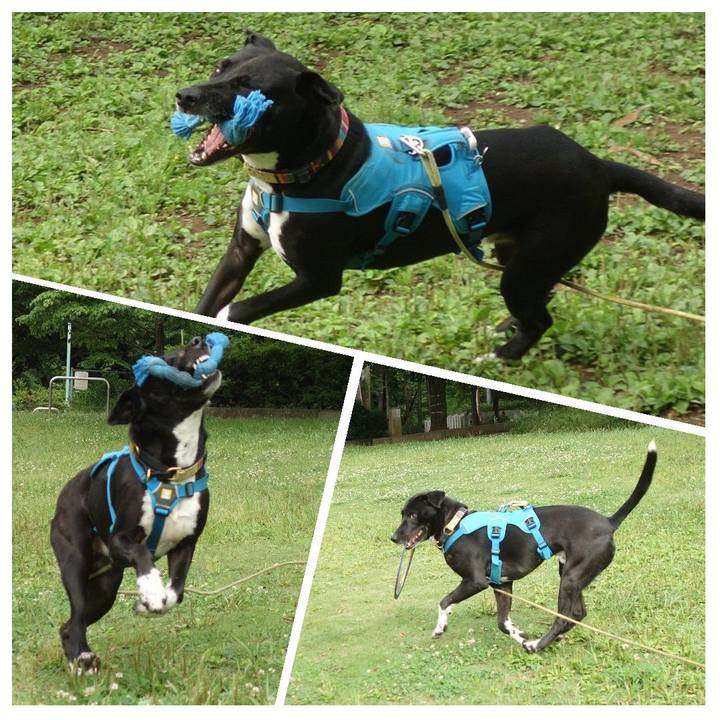 Fbb0b383 c4aa 4c7e 9e01 a5428f3f551e 1621813786815