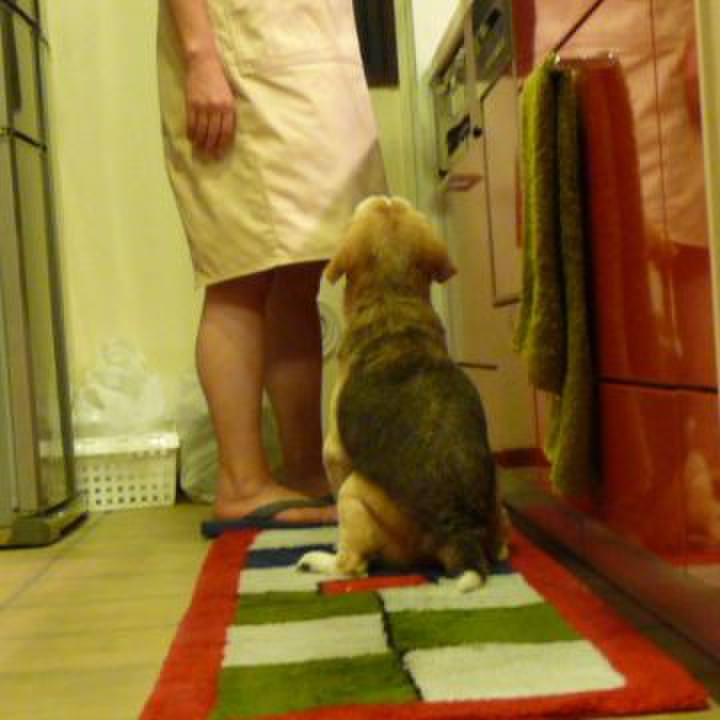 Fbb0c3f8 0476 478d b2ca e67176f32515 1694734265036