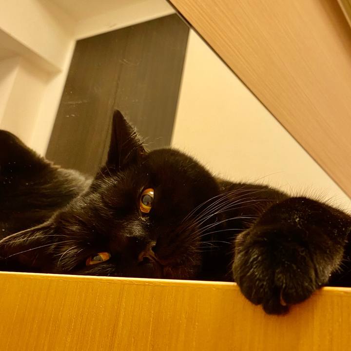 Fbb107c0 61a8 472c ab5a ef9eab9cd0d6 1598085965443