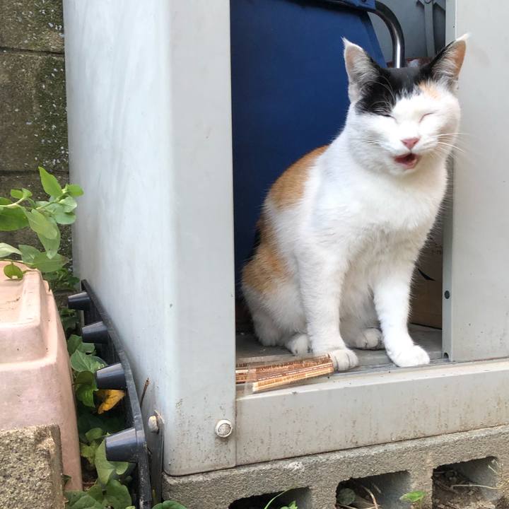 Fbb107e0 cecd 458e 90ee ac2e028bee78 1603491370149