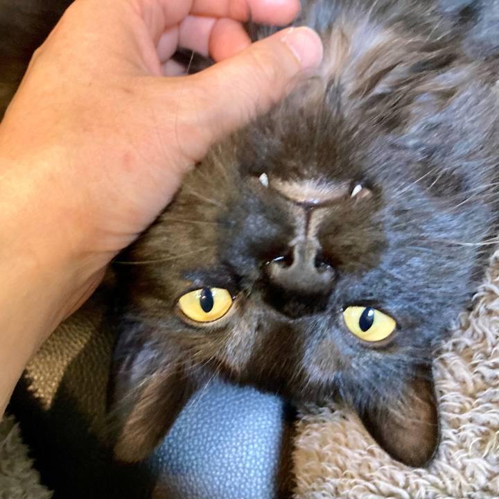 Fbb12b01 5e97 429b bb99 4a4b136a05df 1711610720229