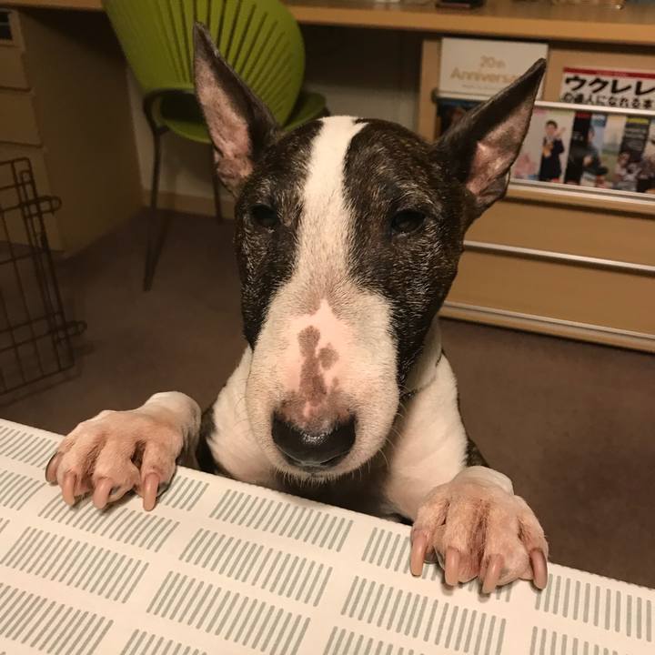 Fbb1444f bbbc 4295 b552 d84f3d0bd723 1521722643315