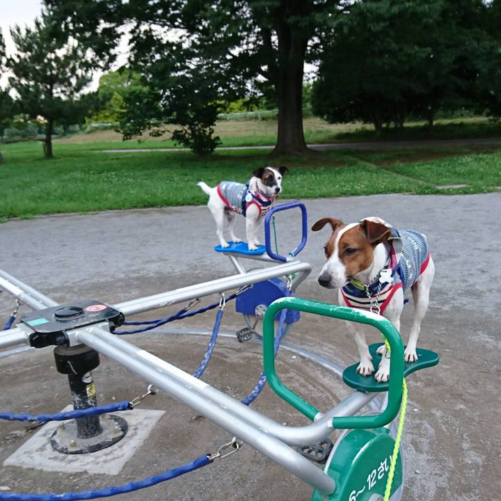 Fbb15d36 3022 43ad 9af8 b10e8c1eea16 1562764335086