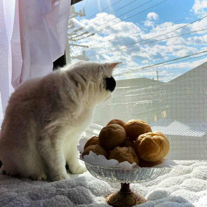 Fbb16541 bd75 49f5 bce3 fe88180bdcda 1737187639164