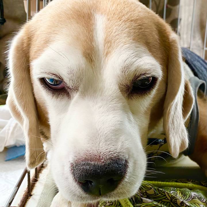 Fbb174bc 95c8 4cf5 bdcf 00cd128de70a 1601004621393