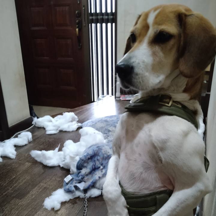 Fbb17711 e5a2 4cb0 9c91 8f93162b6335 1671358991857