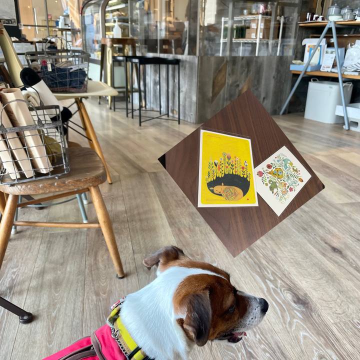 Fbb1acc8 3c05 4296 b20e 8473dff18d4d 1646640161088