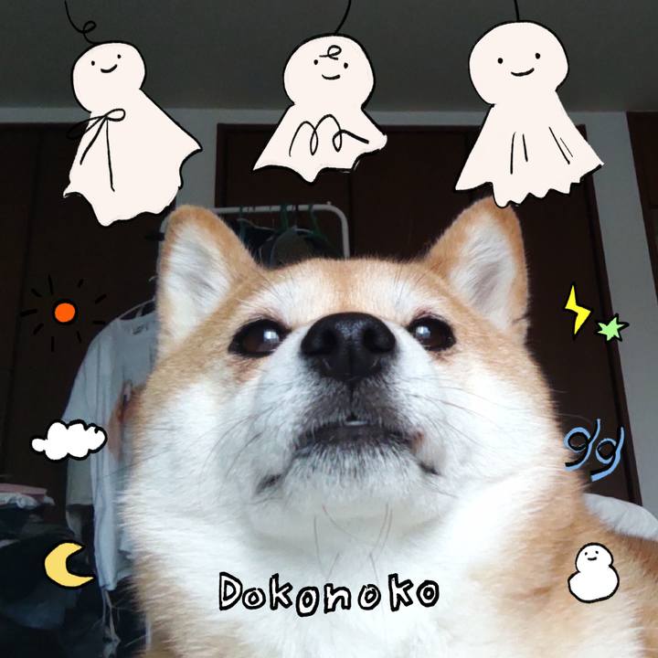 Fbb1dd97 f5b5 4a46 9803 4185205856c4 1749121979920