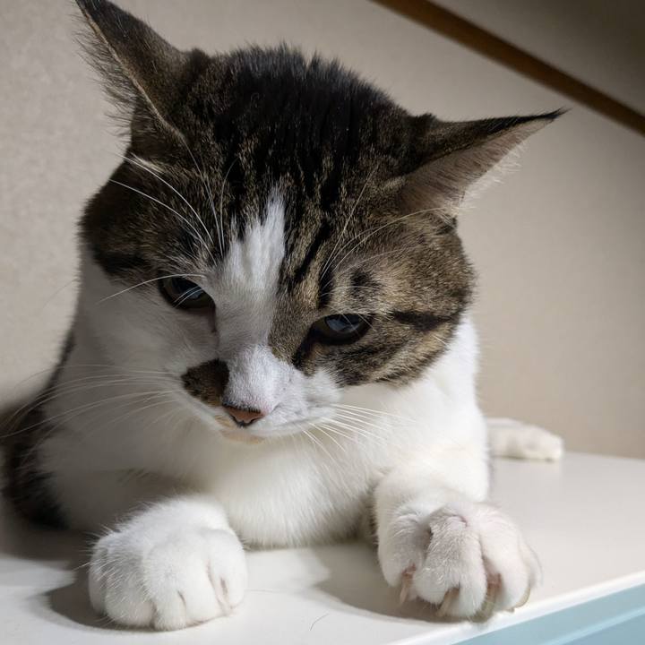 Fbb20a21 0848 49ed 9729 f46832dad473 1730991129709