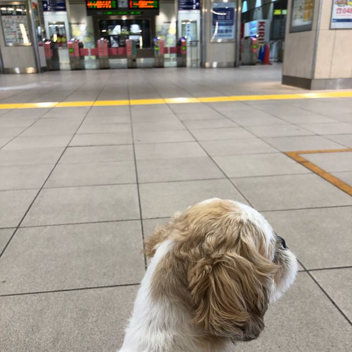 Fbb21dd9 b208 4ad2 839c c5f474646f35 1593299841566