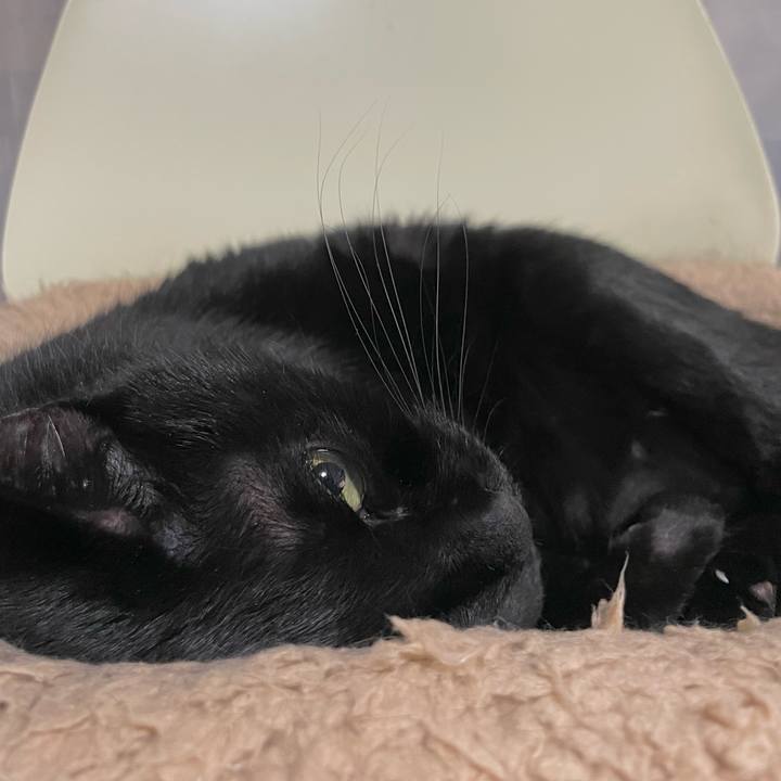 Fbb2f242 8386 4ef1 99ec 00aacde30487 1699780152253