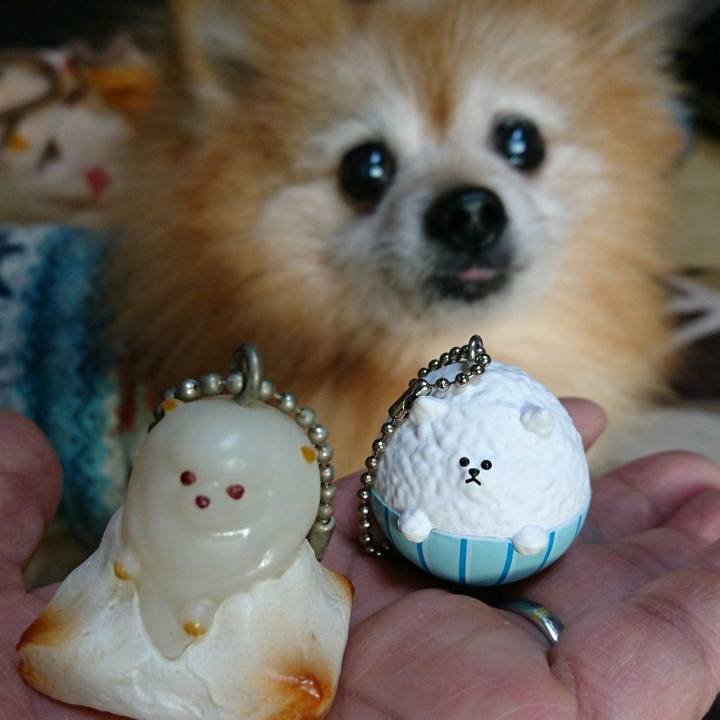 Fbb32efb 805c 440e af12 d73300c08ea4 1581410481438