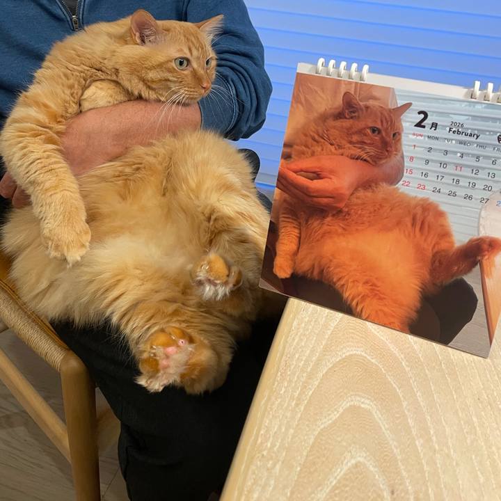 Fbb330fd 90ae 4ac7 8b32 0ecb612ca243 1771403741970