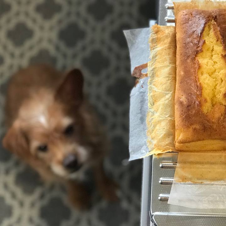 Fbb3318b bdfa 4c52 8f9e 037b849912ea 1580101305841