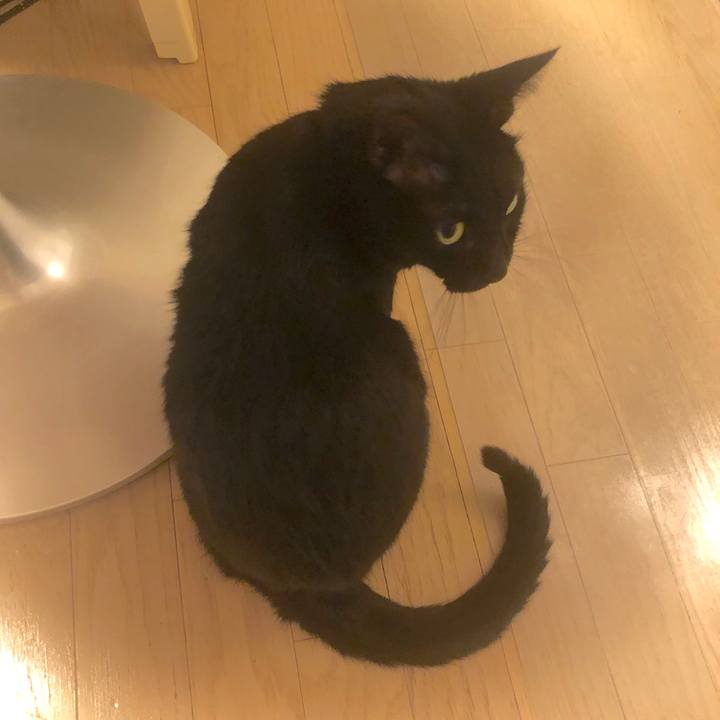 Fbb347a6 8bf2 4f06 9689 5edcefa13e81 1554292538743