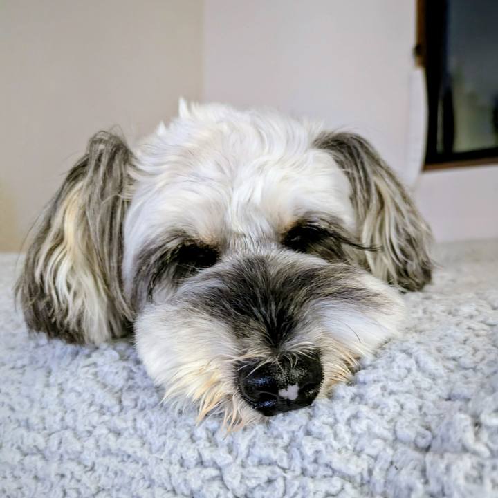 Fbb35ac7 d006 4cbb abac 3667b9ff296d 1759842238095