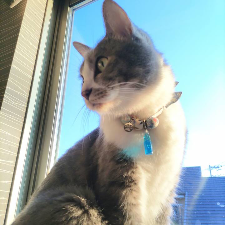 Fbb381c4 73c1 40dc 8af1 64243f58d8fb 1689025679607