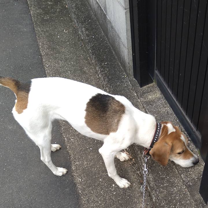 Fbb3b9b2 2af2 4c5f 8e57 f9b4fadf4e03 1640670739216