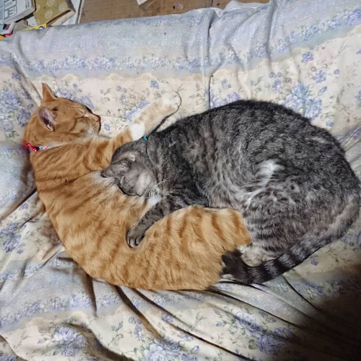 Fbb3c687 c8f9 40ad a319 e0ce745622bc 1576500629095