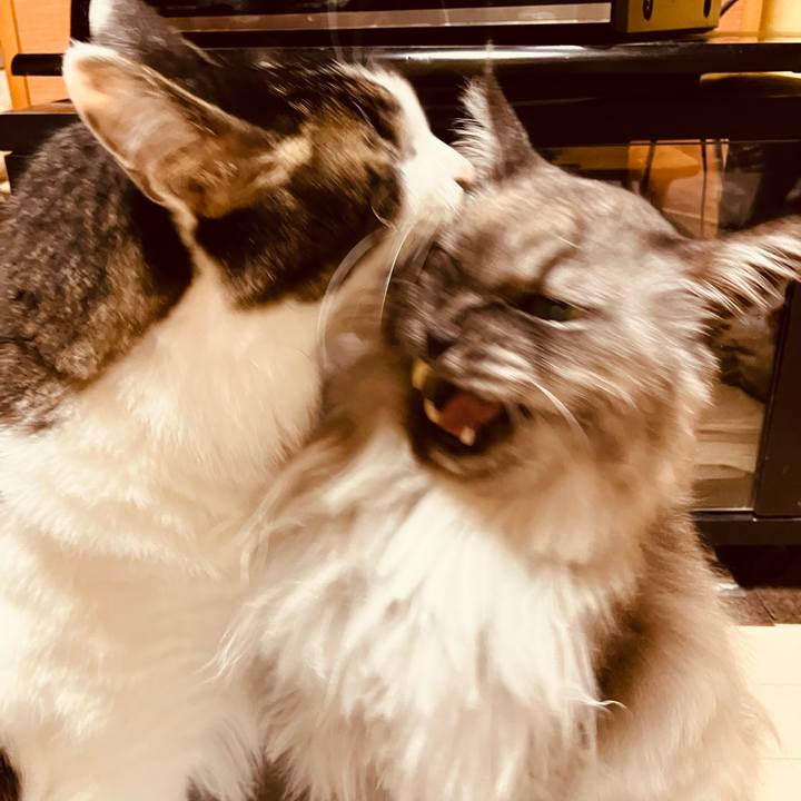 Fbb3df22 81c7 48e0 8221 72525f52f254 1739712773643