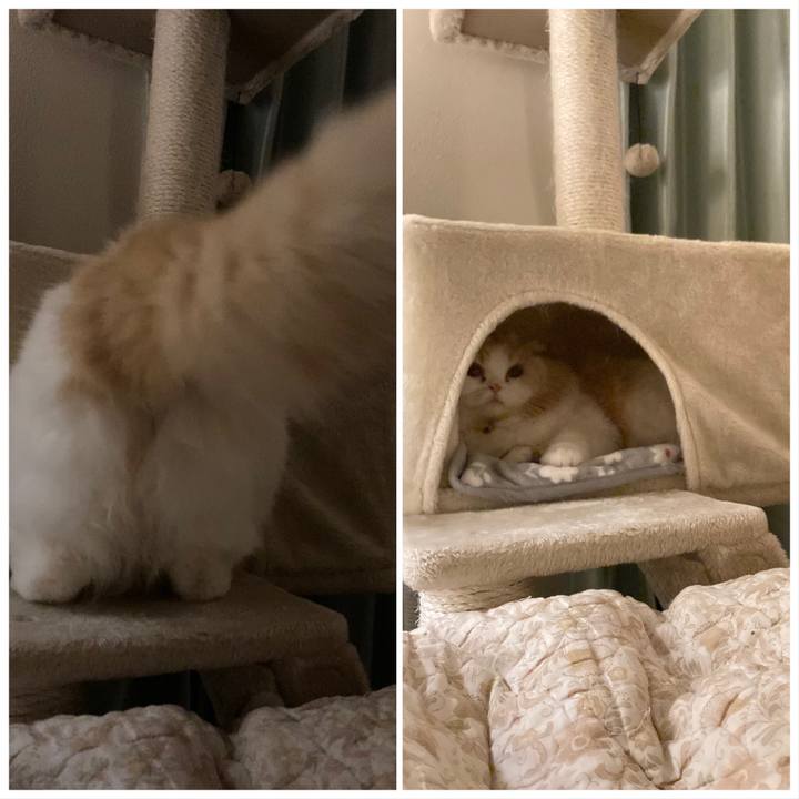 Fbb4289b 8a06 4a3d b4d9 c9652e1dcaf8 1652134445158