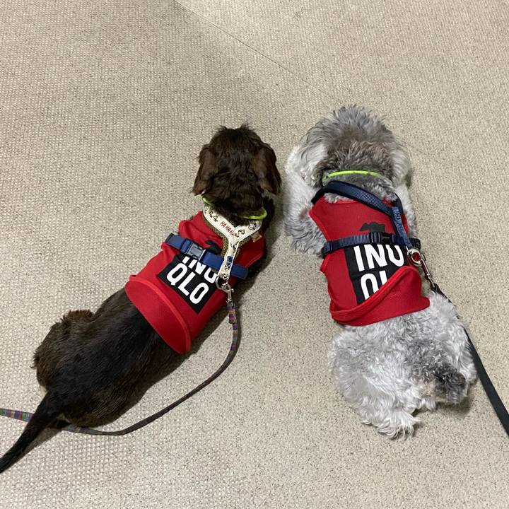 Fbb42b13 7334 4929 81ea e4fb7a1fc578 1622908398867