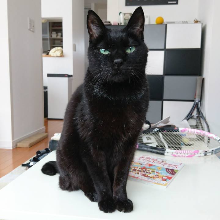 Fbb4393c 5787 484f 843e 8f104cecb39e 1548760773802