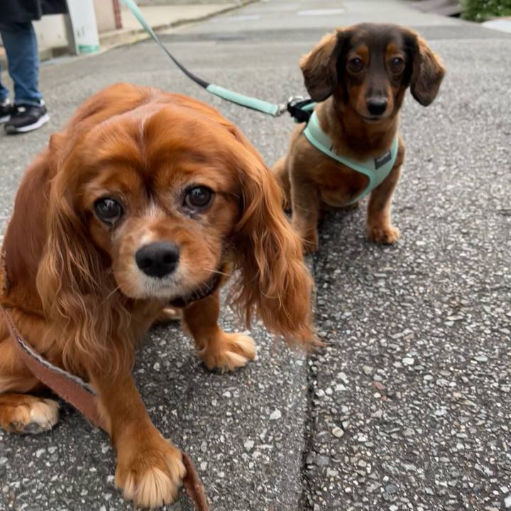 Fbb446d6 e508 4523 95eb 0268a80dc8ae 1658067555000