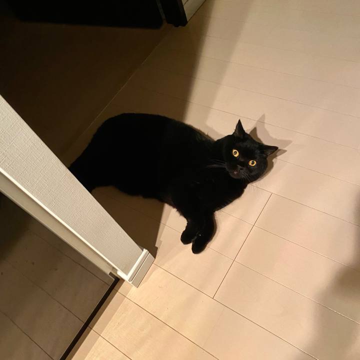 Fbb449b6 9e14 414a b9c7 06b9b74b317f 1729502260896