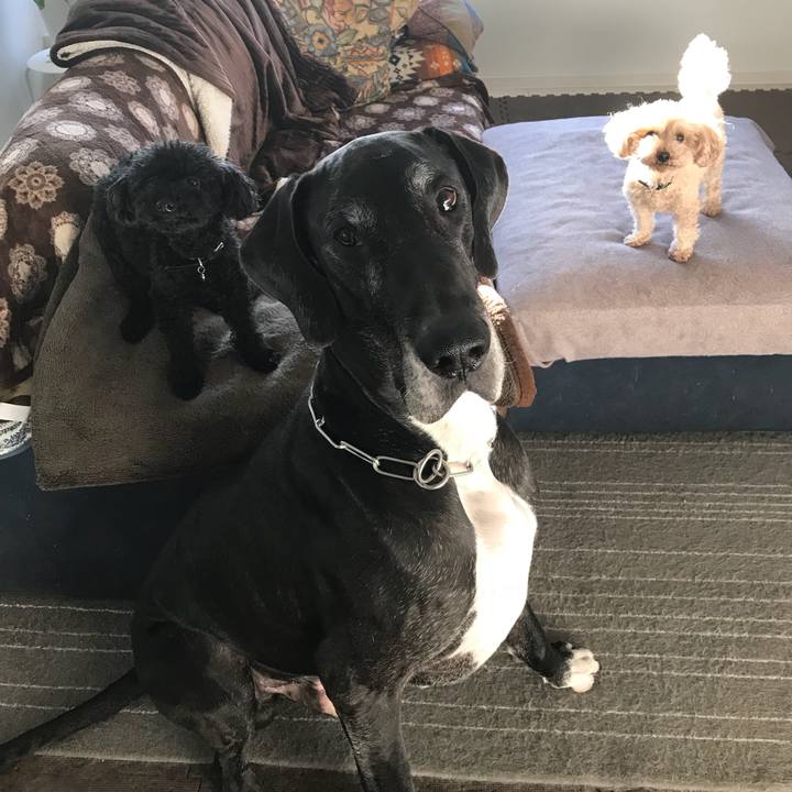 Fbb460c1 52d7 4214 8c00 dafd816fd190 1514243020624