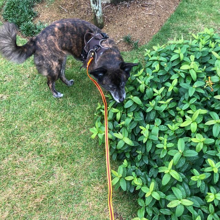 Fbb4a56b 129b 4bce 894a 0f9f5a1d6a8f 1621293549938