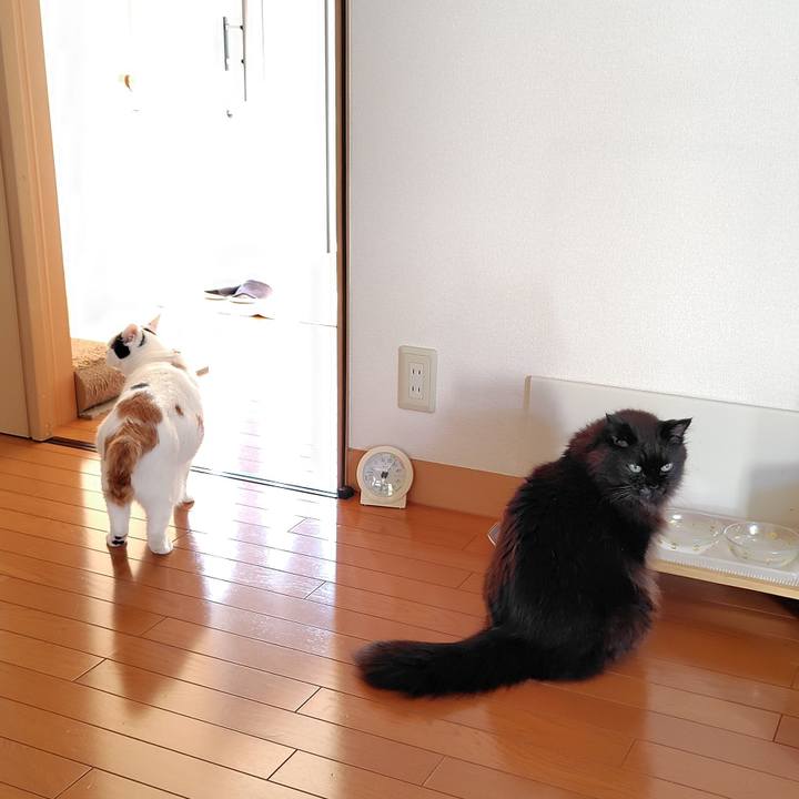 Fbb4b318 e0a9 4649 ad68 ae0885776faf 1718868897585