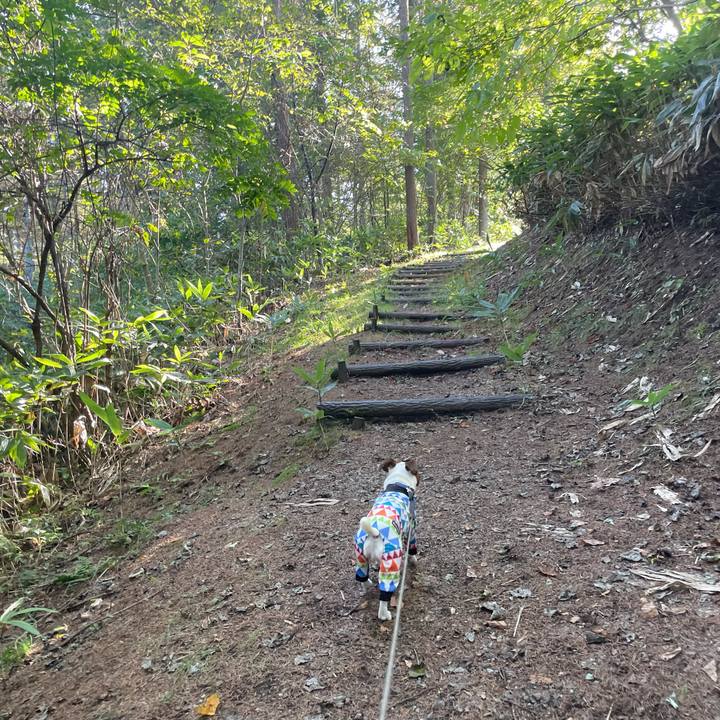 Fbb50579 72a5 4ff4 b309 a32789560707 1633249133201